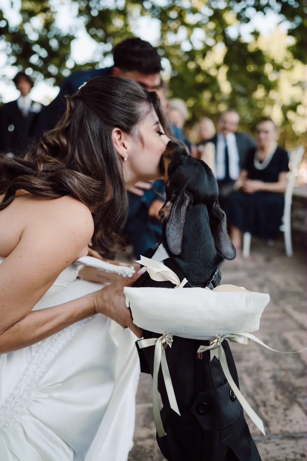 La sposa bacia il bassotto che porta il cuscino delle fedi