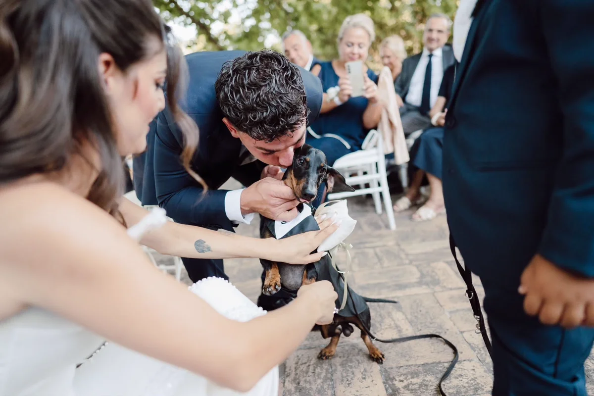 Lo sposo bacia il bassotto che porta il cuscino delle fedi, mentre la sposa lo accarezza
