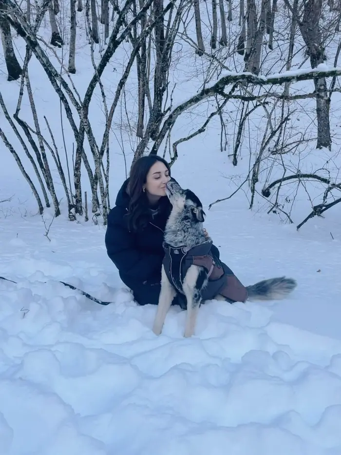 Lisa accarezza un pastore australiano durante una passeggiata sulla neve