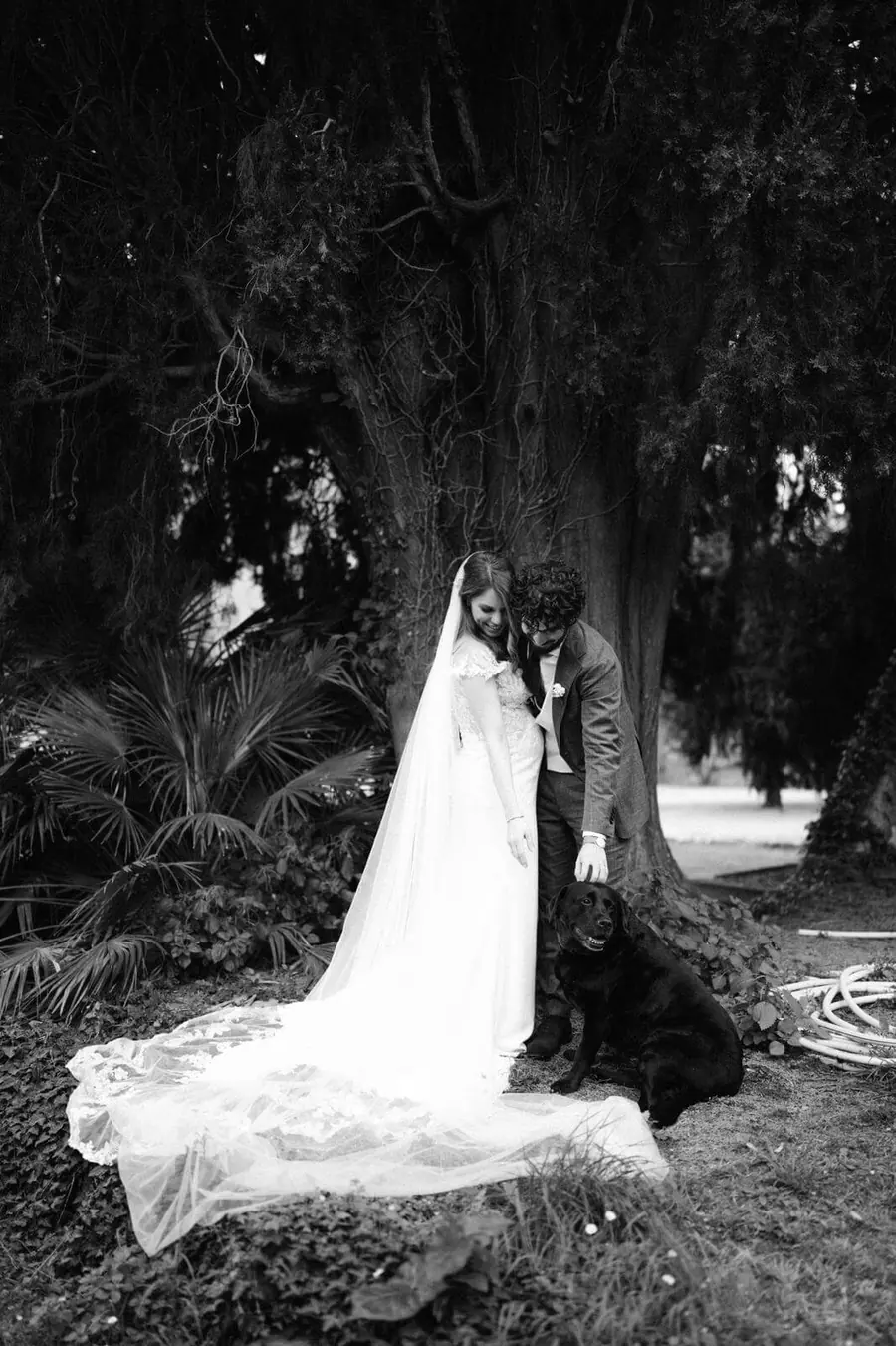 Ritratto in bianco e nero degli sposi sotto un albero secolare con il loro labrador nero