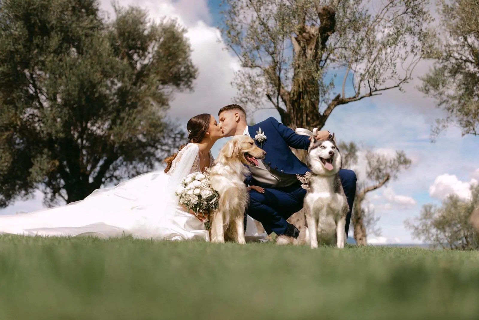 Sposi che si baciano tra gli ulivi con il golden retriever e l’husky accanto a loro